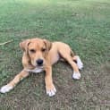 Photo of Mojito