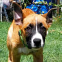 Photo of Sansa