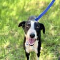 Photo of Tessie