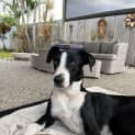 Photo of Tessie