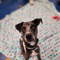 Photo of Elsa