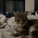 Photo of Shaye 