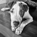 Photo of Argon