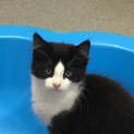 Photo of Louie