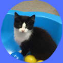 Photo of Louie