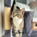 Photo of Jakira
