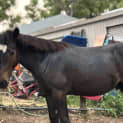 Photo of Maverick 