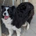 Photo of Tully