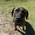 Photo of Wesson