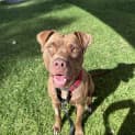 Photo of Zara