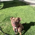 Photo of Zara