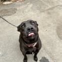 Photo of Kujo