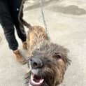 Photo of Scrap