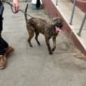Photo of Scrap