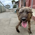 Photo of Scrap
