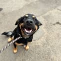 Photo of Zara