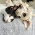 Photo of Betty (And Beatrice)