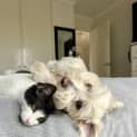 Photo of Betty (And Beatrice)