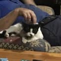 Photo of Missy Moo