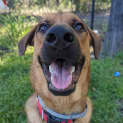 Photo of Veera