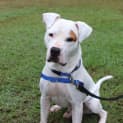 Photo of Ghost