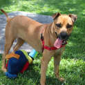 Photo of Abbie