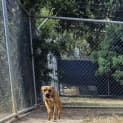 Photo of Turbo