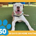 Photo of Roscoe