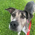 Photo of Lucy