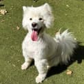 Photo of Funshine Bear