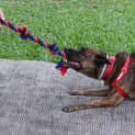 Photo of Marcello