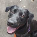 Photo of Ace