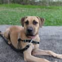 Photo of Bindi