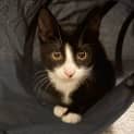 Photo of 10618   Lyle