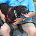 Photo of Luna
