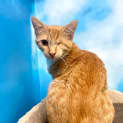 Photo of Winky
