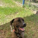 Photo of Wesson