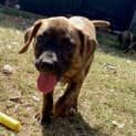Photo of Woodrow