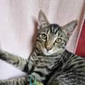 Photo of Jareth