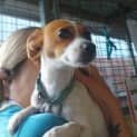 Photo of Pixie 
