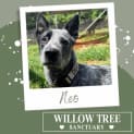 Photo of Neo