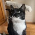 Photo of Button