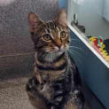 Photo of Bernard