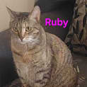 Photo of Ruby
