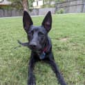 Photo of Laverne