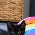 Photo of Hades