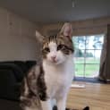 Photo of Ming Ming