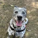 Photo of Hope