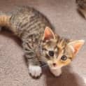 Photo of Cleo