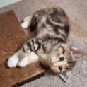 Photo of Lilith